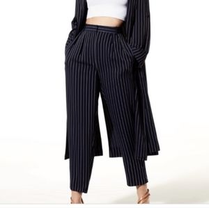 Aritzia Modesto Pants